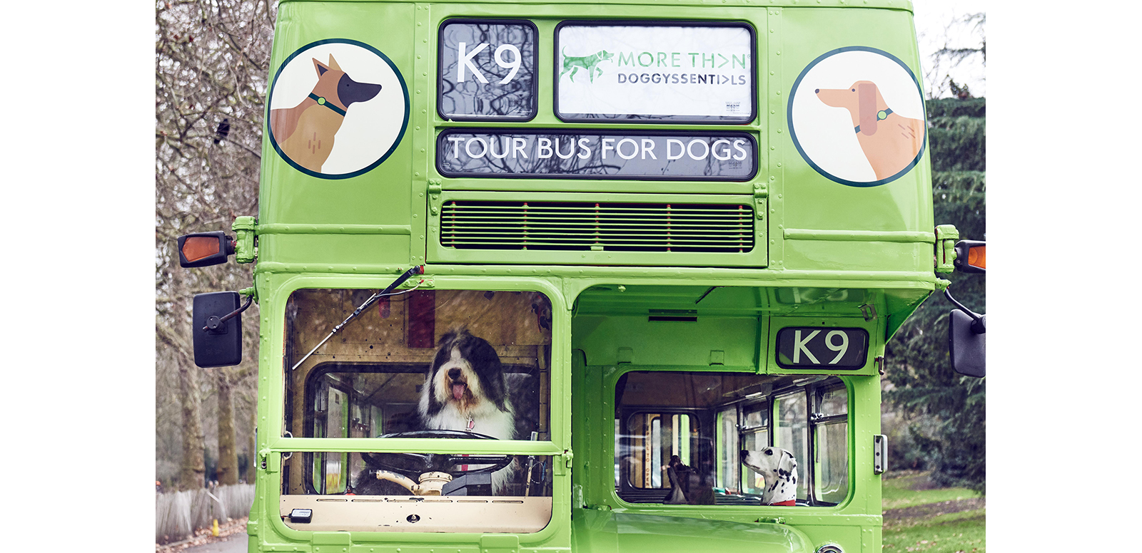Insurance brand More Than has launched what it claims is the world’s first ever city tour bus for dogs, with every element of the experience designed to appeal to man’s best friend, in London.