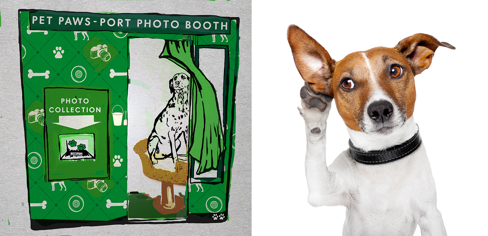 Pet insurer MORE TH>N (More Than) has launched the Pet Paws-Port Photo Booth, a free service offering dog owners the chance to have a high-quality passport photo taken of their pet pooch.