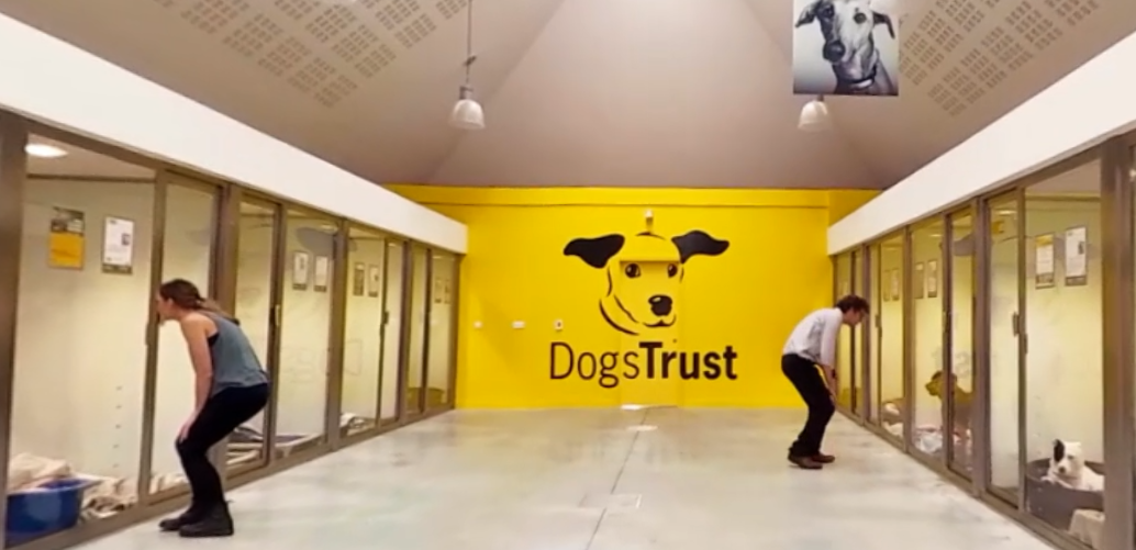 Dogs Trust is running create an immersive virtual reality experience to engage the public and demonstrate the impact donors can have for the thousands of dogs each year that the charity cares for.