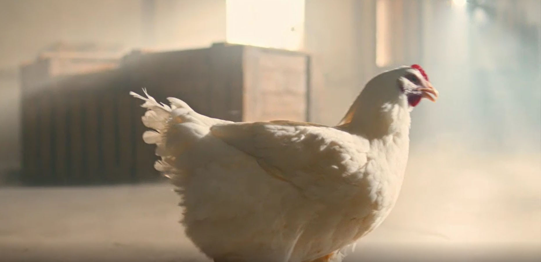 KFC’s ‘Dancing Chicken’ ad – featuring a chicken dancing to rap music -- was the ad which generated the most consumer complaints in 2017, according to the Advertising Standards Authority’s Top 10 ranking of the year’s most complained about ads.