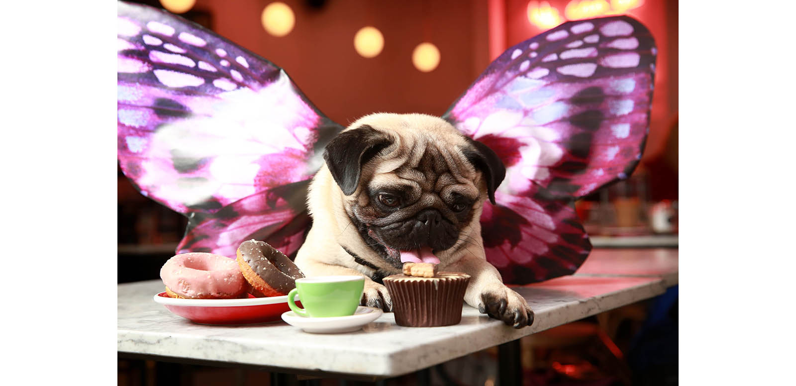Mobile phone network Three will be running a pop-up ‘All You Can Pug’ brunch to celebrate Puggerfly, the star of its latest ad campaign and the world’s first Augmented Reality (AR) pet.